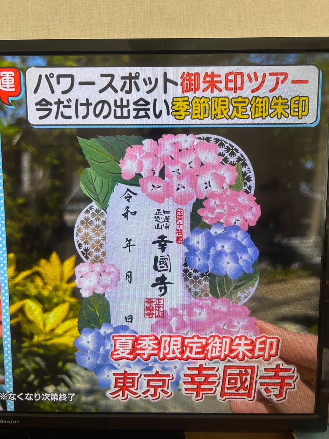 New! 切り絵御朱印 紫陽花とカエル Hydrangea and Frog ☆ZIP!で紹介☆