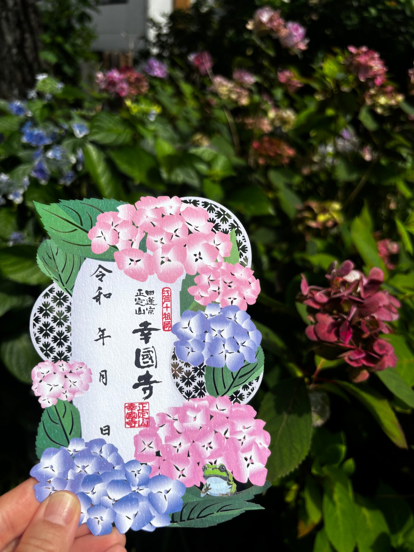 New! 切り絵御朱印　紫陽花とカエル　Hydrangea and Frog ☆ZIP！で紹介☆