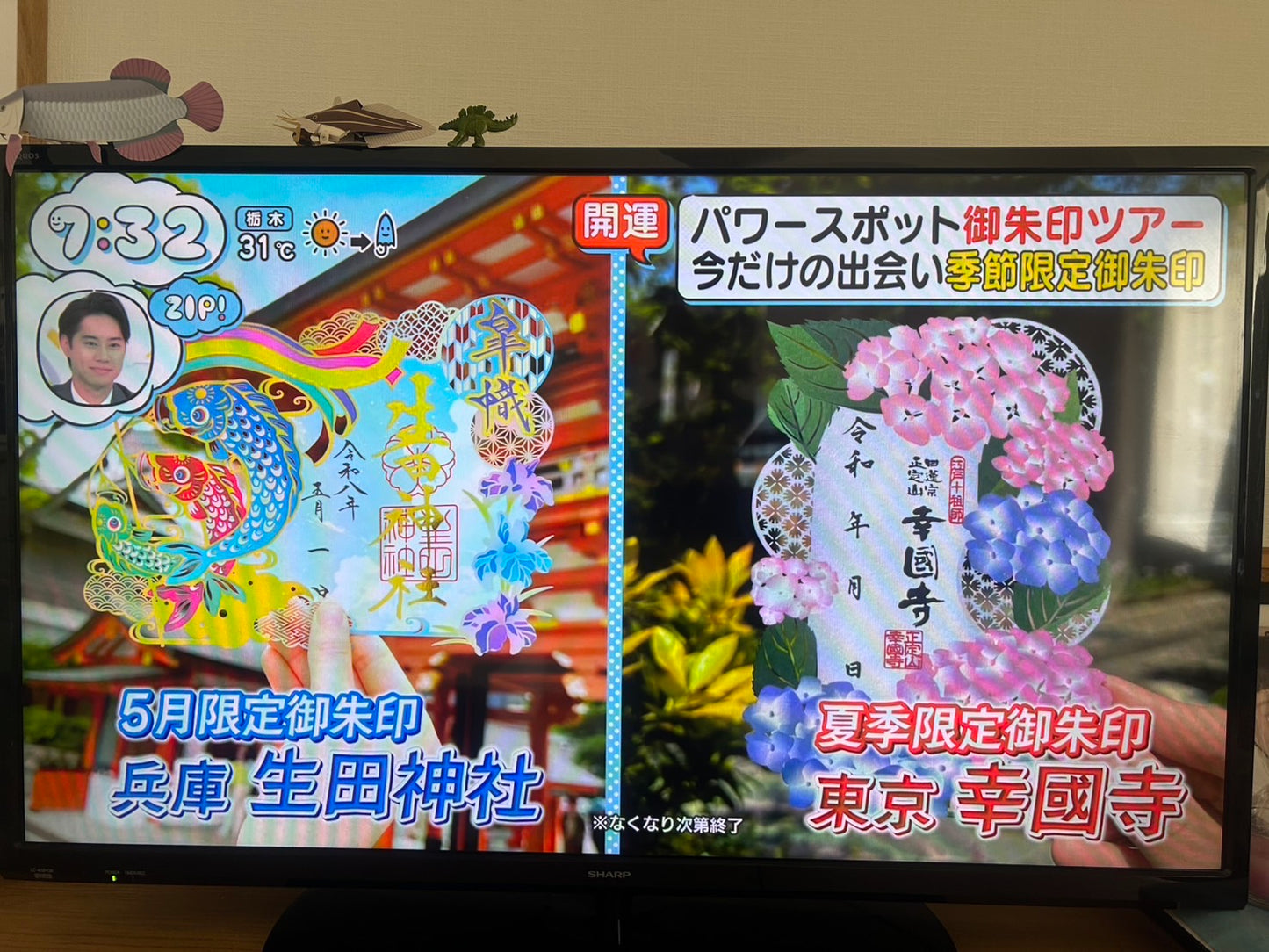 New! 切り絵御朱印　紫陽花とカエル　Hydrangea and Frog ☆ZIP！で紹介☆